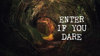 Enchanted Forests - Five Magical Encounters with Fairies