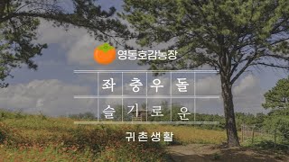 좌충우돌 귀촌생활 6개월(좋은 점과 힘든 점)