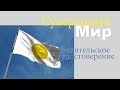 27. Водительское удостоверение (Driving licence)