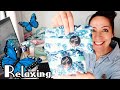 Ebay (relaxing) Shipping Video #53