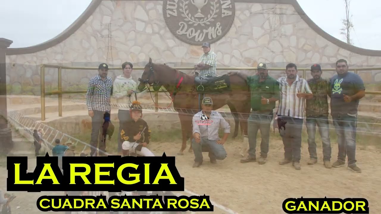 EL REY CUADRA COMPADRES VS EL TUCAN CUADRA SANTA ROSA 250 YARDAS