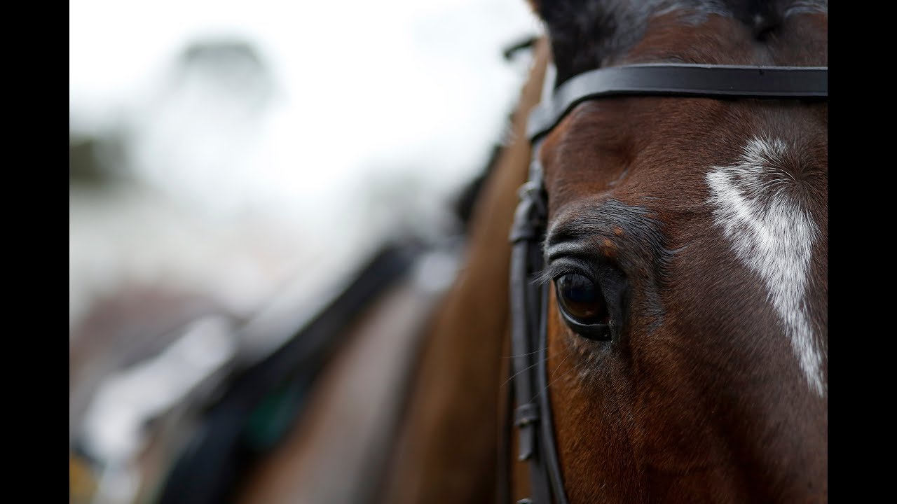 Douvan's chasing debut