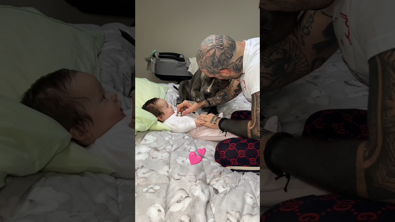 This small family is so cute 🥺🥰 | #shorts #shortvideo