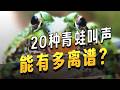 Discover 23 Frog Calls: Which One Is Your Favorite?