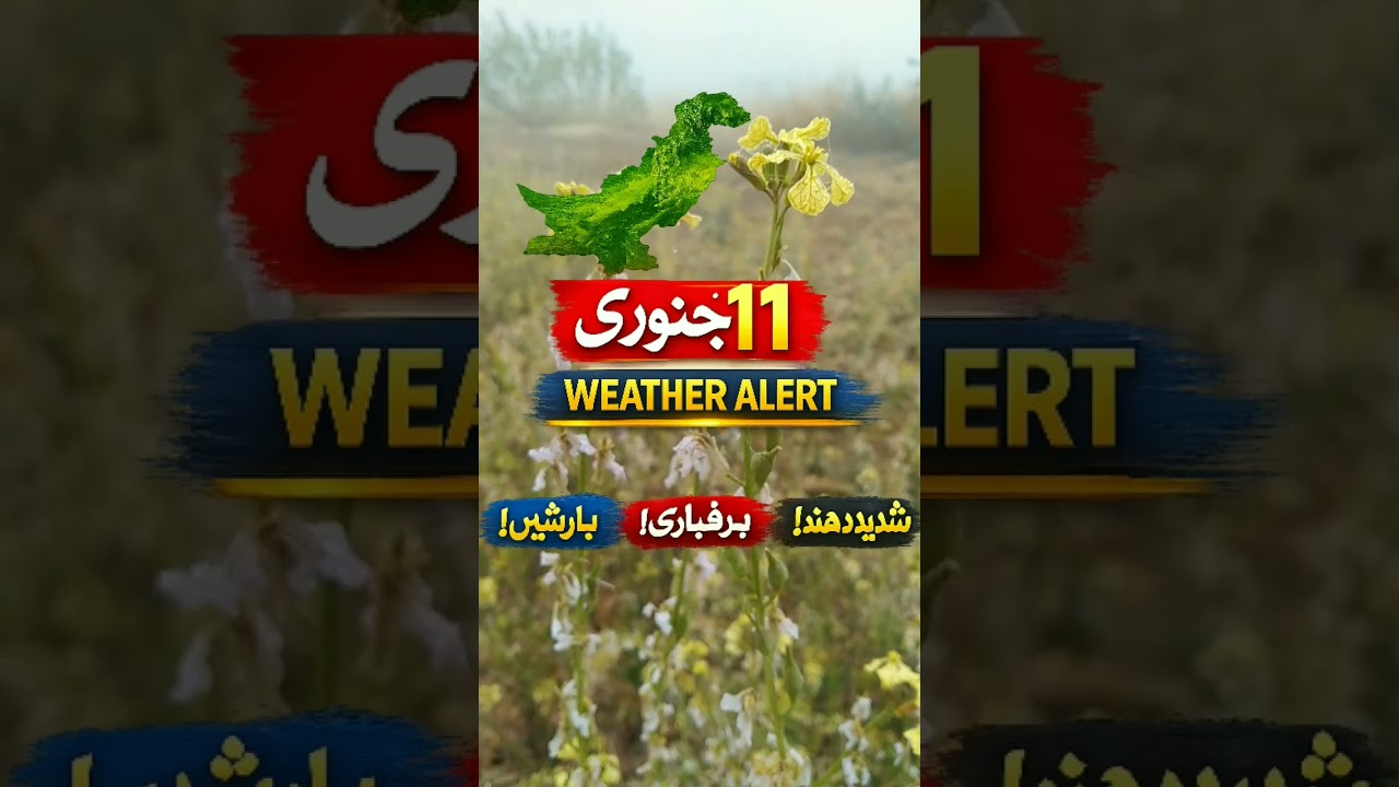 Severe Cold & Fog Alert | 11 January Pakistan