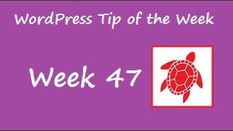 WordPress Tip of the Week - Week 47 - Installing Google Analytics - Part 1