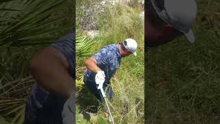 There is no one quite like Joey Cold Cuts #shorts