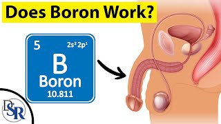 Does Boron Work For Increasing Testosterone or Erections