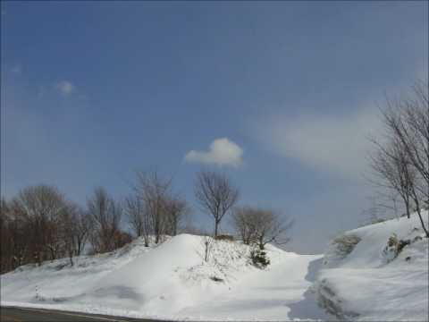 SAICO 早く帰ろう