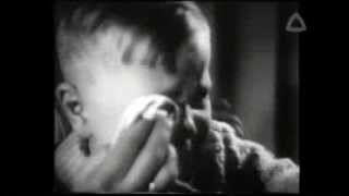 Avs Nieuwsfragment Viaa 10 12 2013