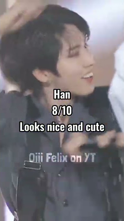 ♡ My Mom Rates Stray Kids' Members ♡ (no hate, her opinion)