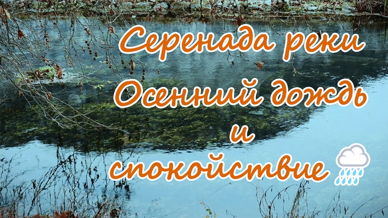 Серенада реки: Осенний дождь и спокойствие ????? - YouTube