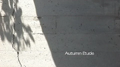 Autumn Etude