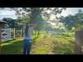 MEU MARIDO ME ABANDONOU...?? FRAN ADORNO VIDA NA ROÇA