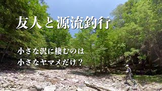 友人と源流釣行　小さな沢に棲むのは小さなヤマメだけ？　フライフィッシング