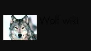 Message To Ark Music Factory