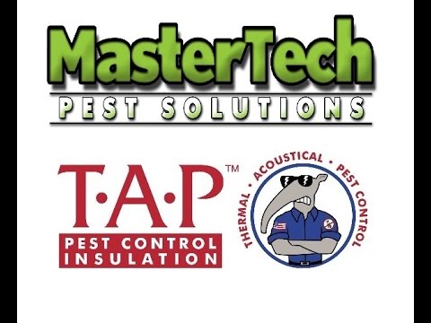 Tap Insulation - Phoenix, Arizona - MasterTech Pest Solutions