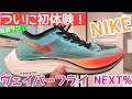 ついに履いた！ヴェイパーフライNEXT%で皇居ラン！【zoom x vaporfly next%/NIKE】
