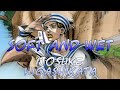 Josuke higashikata  soft and wet jjba musical leitmotif jojolion