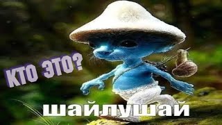 Шайлушай - Откуда Мем ?