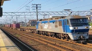 編成中にコキのトプナンが!?EF210-103 1052レ