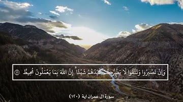 آياتٌ مختارةٌ مِنَ الذكرِ الحكيم سورةُ آل عمران ( آية ١٢٠ )#هل_القرآن_الأبرار