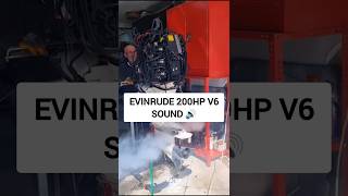 EVINRUDE 200HP V6 Sound #powerboat #speedboat #racingboat