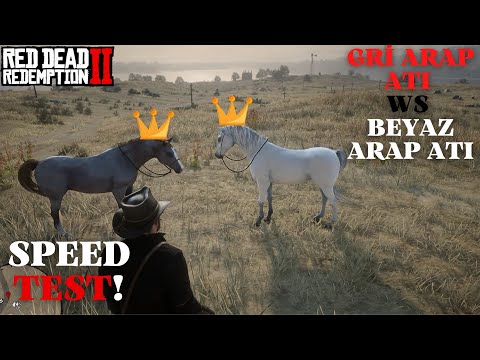 RDR2| Red Dead Redemption 2 GRİ ARAP ATI VS BEYAZ ARAP ATI [HIZ TESTİ] SPEED TEST!