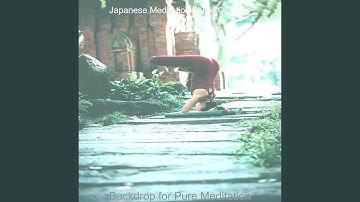 Tremendous Koto and Strings - Vibe for Pure Meditation