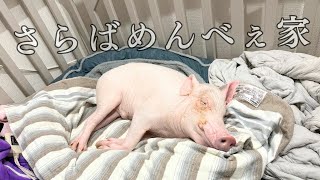 たくさんの思い出をありがとう