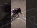 الجريمة يجب أن لا تكون جزء من حياتنا مع ا نبني مستقبل ا خال من الجريمة والعنف