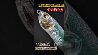 【バス釣り】旬の釣り方｜Megabass KARASHI IGX｜不動の誘惑｜HIUO