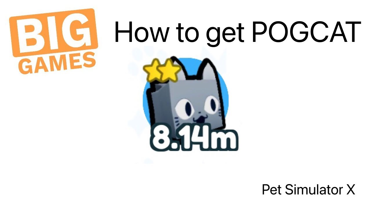 [ROBLOX] [Pet Simulator X] How to get Pogcat - YouTube