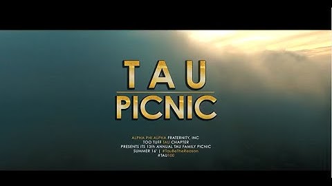 Alpha Phi Alpha Fraternity, Inc. TAU Chapter | 2016 13th Annual Tau Family Picnic