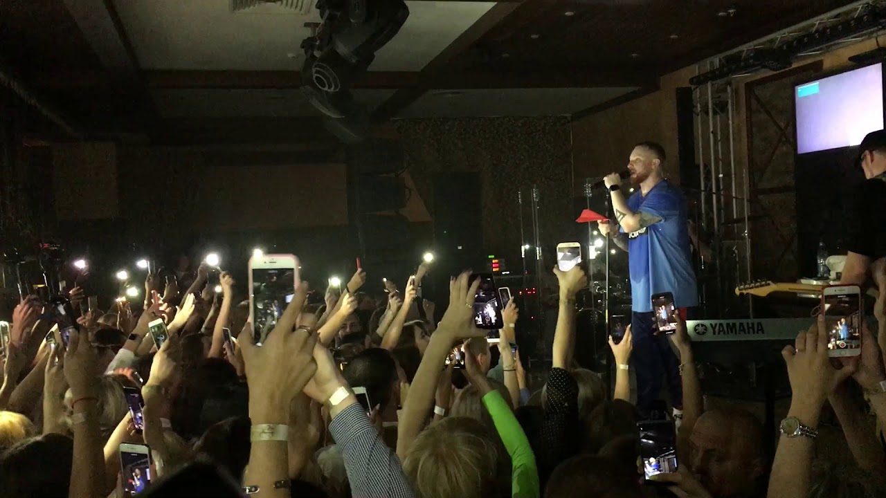 лев старый оскол. кафе чешский лев старый оскол. париж чешский лев летняя терраса старый оскол. лев старый оскол. айсберг старый оскол чешский лев.