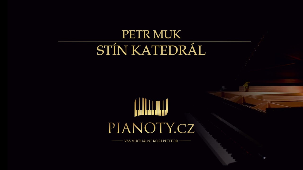 Petr Muk - Stín katedrál (klavírní doprovod / karaoke)