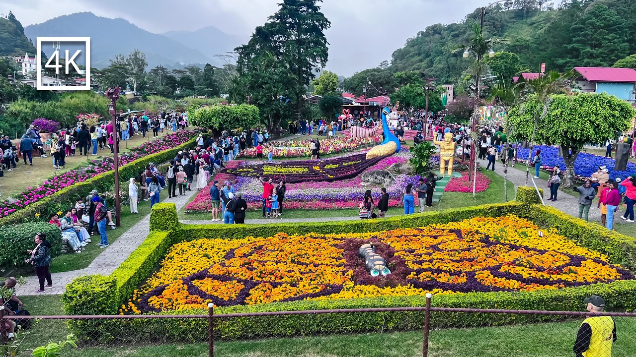 🟡 [4K] 🇵🇦  La feria de las flores y el café | Boquete Chiriquí 2026