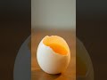Discovering the Secret of the Spinning Egg - A Lesson in Physics