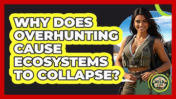 Why Does Overhunting Cause Ecosystems To Collapse? - The Wild Life Explorer