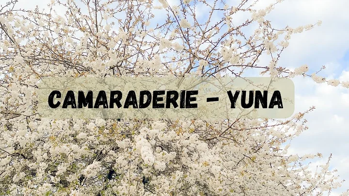Camaraderie - Yuna | Lyric & English Translation