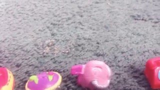 My Shopkins Collection