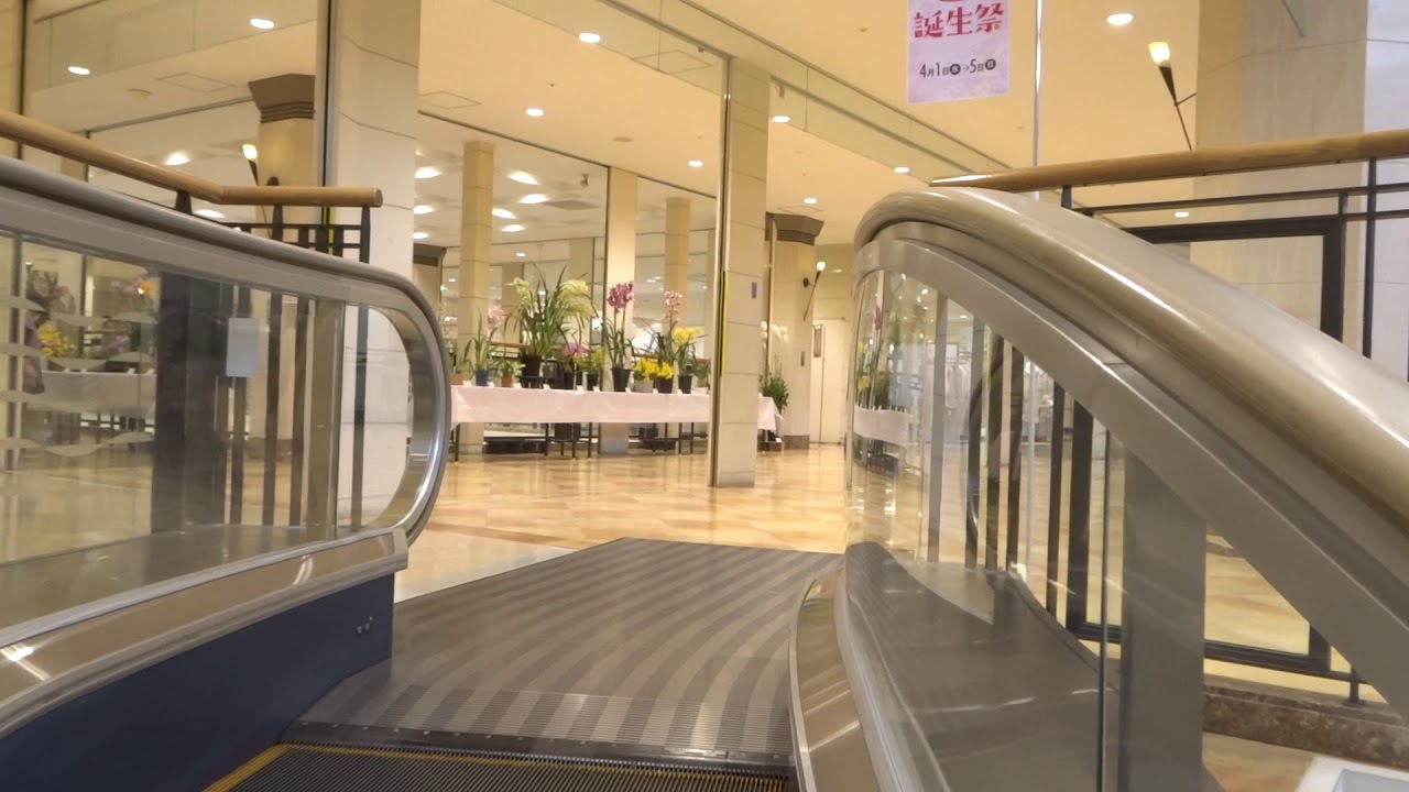 珍 結構珍しい ブーメラン エスカレーター Youtube