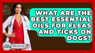 What Are The Best Essential Oils For Fleas And Ticks On Dogs? - Ask A Pet Vet Is Peppermint Safe For Dogs Ask A Pet Vet