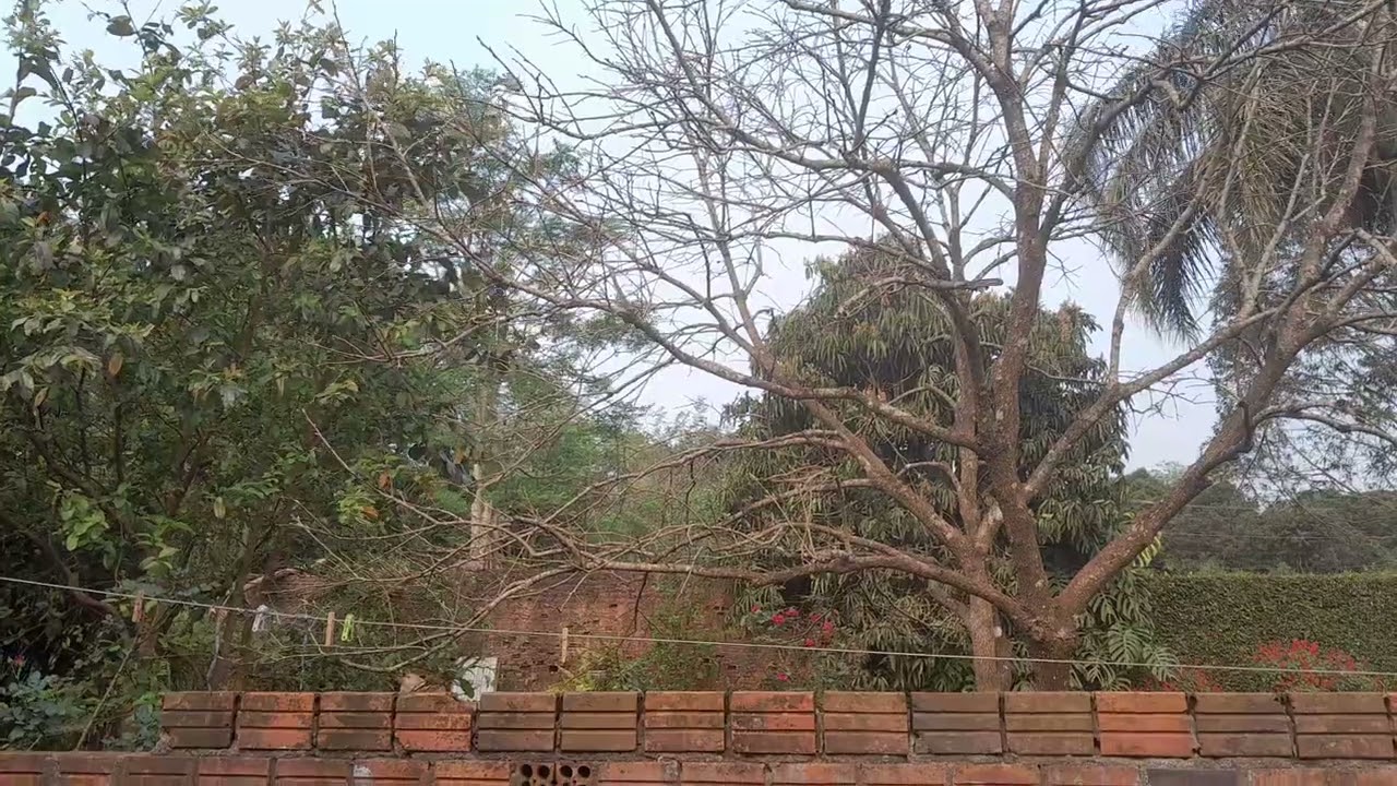 dia fumacento e com temporais a noite