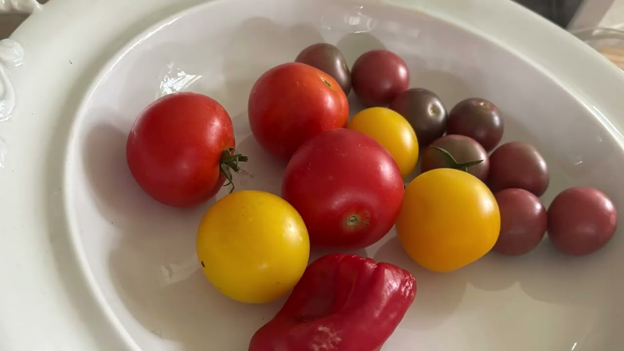 Hagelskur i mitten av augusti , rejält åskväder , soliga dagar och röja i trädgården fortsätter . 