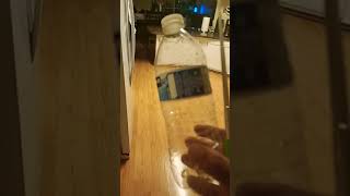 yeet water bottle