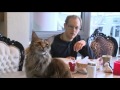 6:00 Welche Katze / Katzenrasse passt zu mir? (05.04.2016 ARD-Buffet)