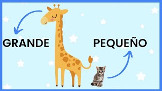 Grande Y Pequeño - Actividades Para Niños - Nociones Básicas Concepto De Tamaño - En Español