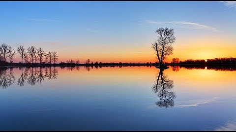 58.3 The Reflection Principle