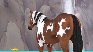 [SSO] Arcade || Flash warning